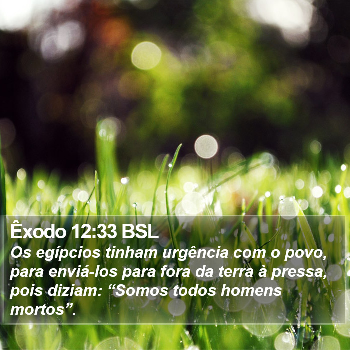 Êxodo 12:33 BSL Bible Study