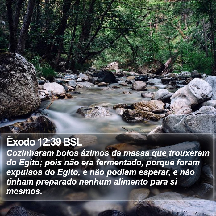 Êxodo 12:39 BSL Bible Study