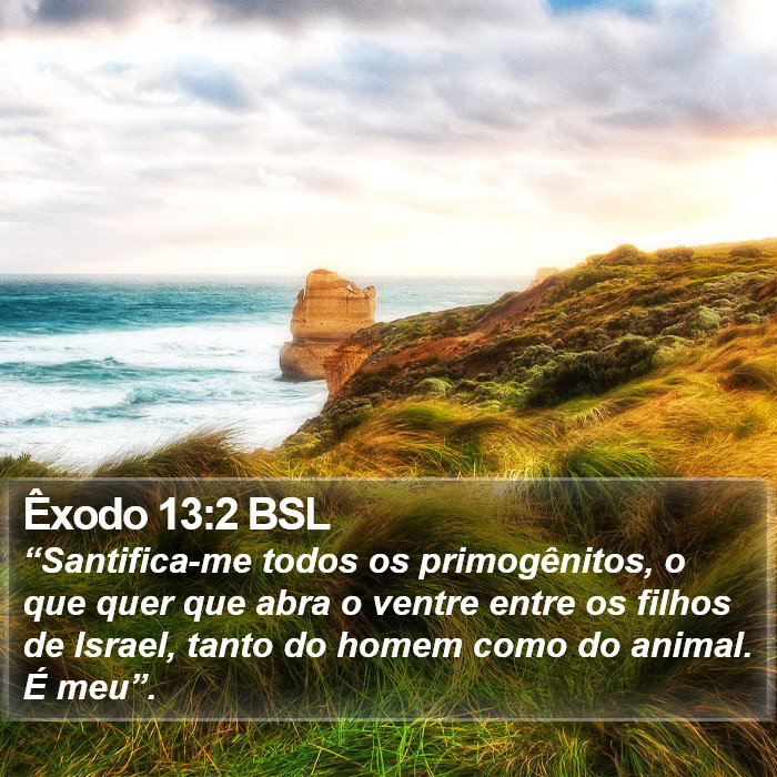 Êxodo 13:2 BSL Bible Study