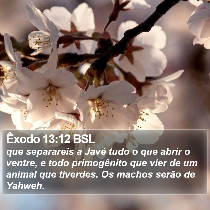 Êxodo 13:12 BSL Bible Study