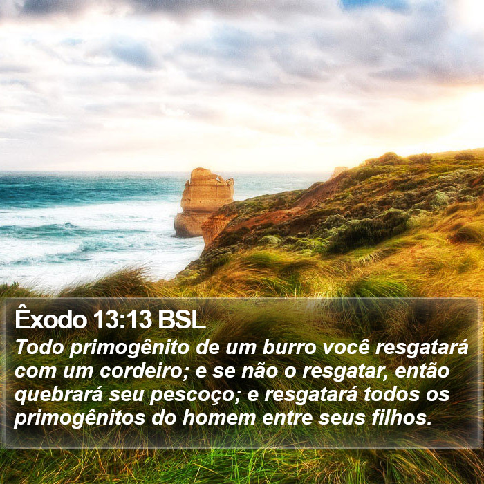 Êxodo 13:13 BSL Bible Study