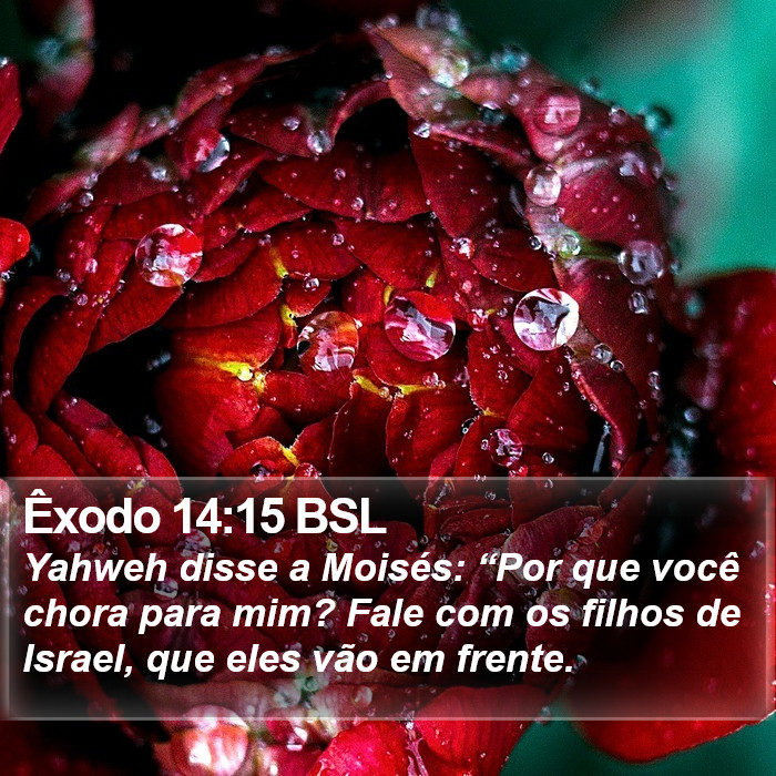Êxodo 14:15 BSL Bible Study
