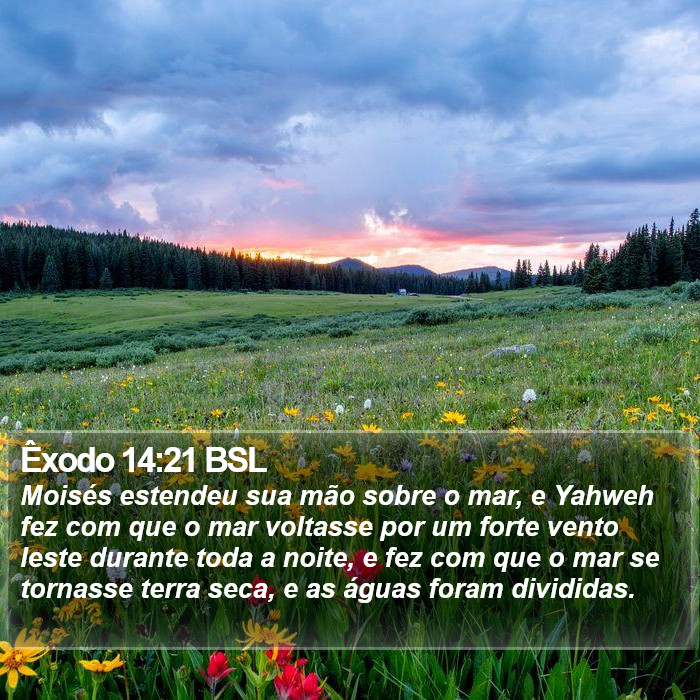 Êxodo 14:21 BSL Bible Study