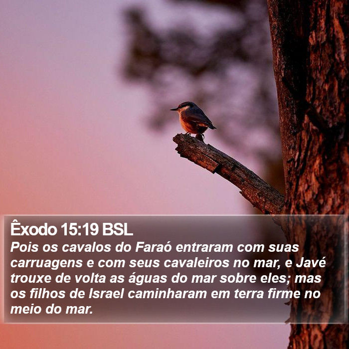 Êxodo 15:19 BSL Bible Study
