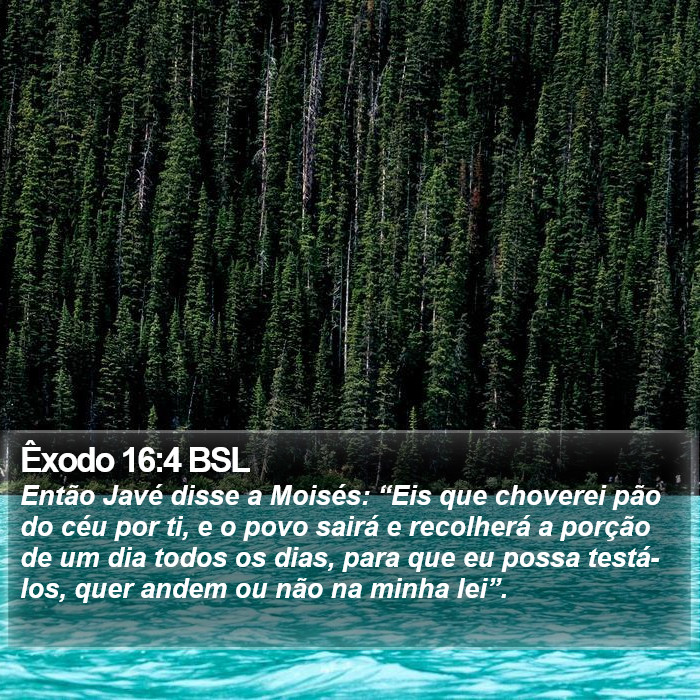 Êxodo 16:4 BSL Bible Study