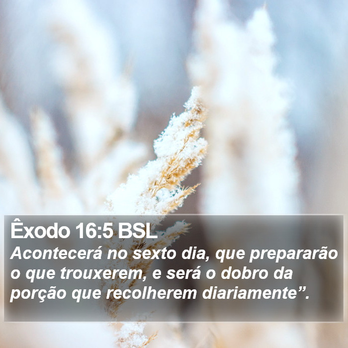 Êxodo 16:5 BSL Bible Study