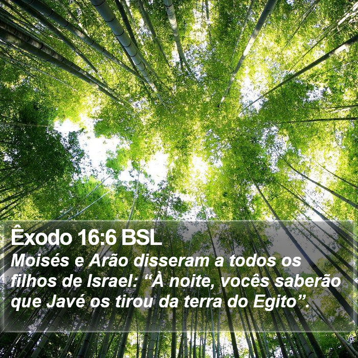Êxodo 16:6 BSL Bible Study