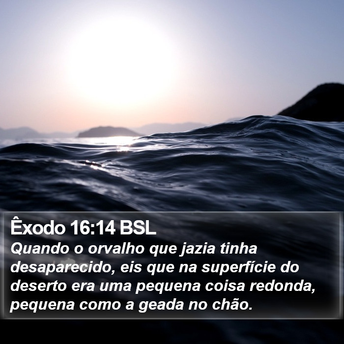 Êxodo 16:14 BSL Bible Study