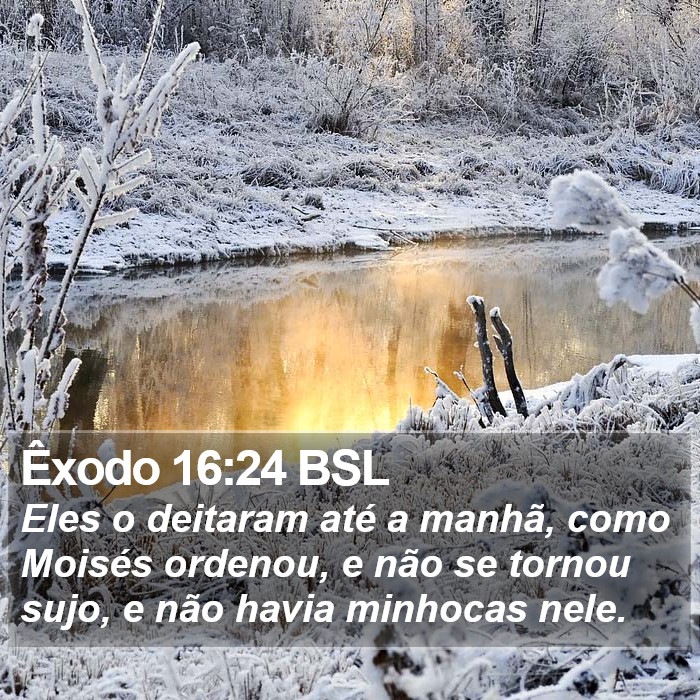 Êxodo 16:24 BSL Bible Study