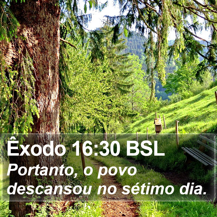 Êxodo 16:30 BSL Bible Study