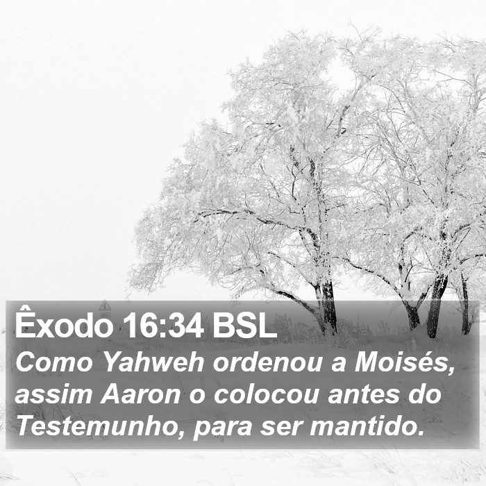 Êxodo 16:34 BSL Bible Study