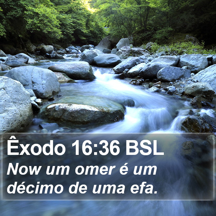 Êxodo 16:36 BSL Bible Study