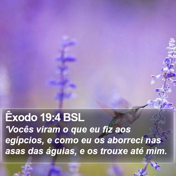 Êxodo 19:4 BSL Bible Study