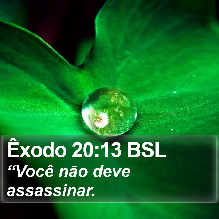 Êxodo 20:13 BSL Bible Study