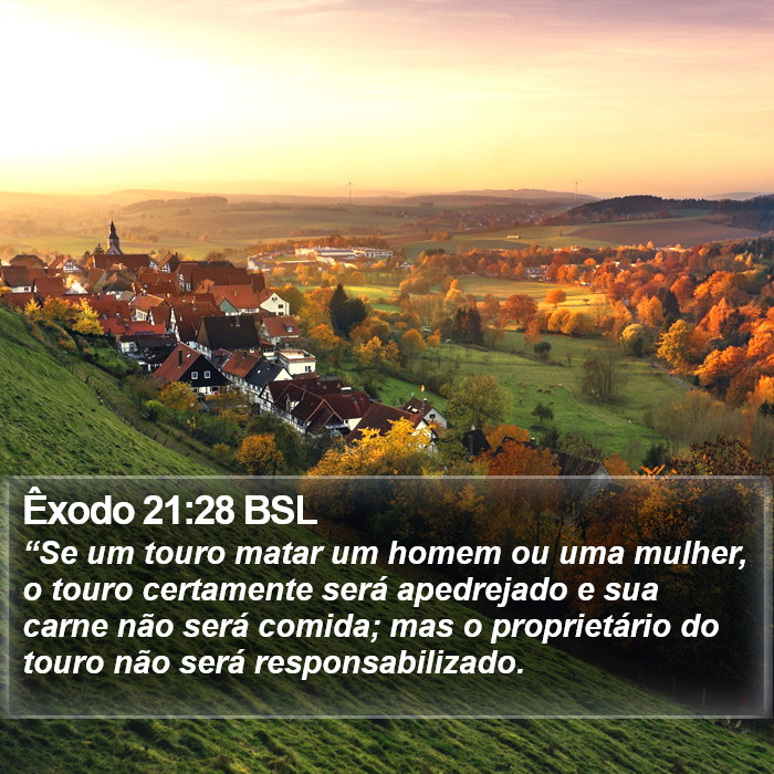 Êxodo 21:28 BSL Bible Study