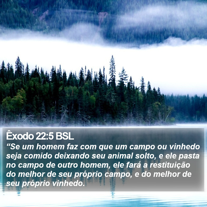 Êxodo 22:5 BSL Bible Study