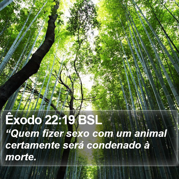 Êxodo 22:19 BSL Bible Study