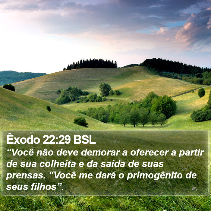 Êxodo 22:29 BSL Bible Study
