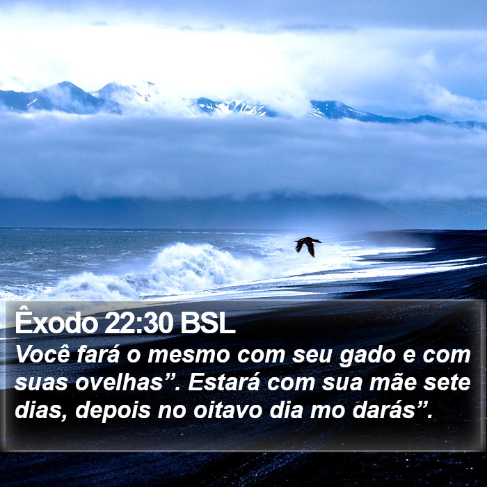Êxodo 22:30 BSL Bible Study