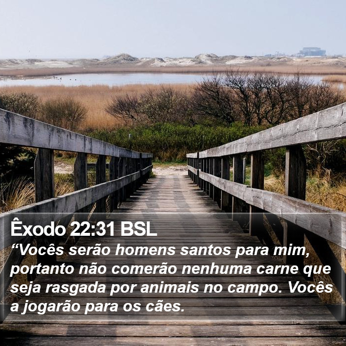 Êxodo 22:31 BSL Bible Study