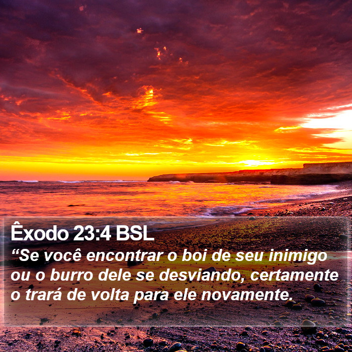 Êxodo 23:4 BSL Bible Study