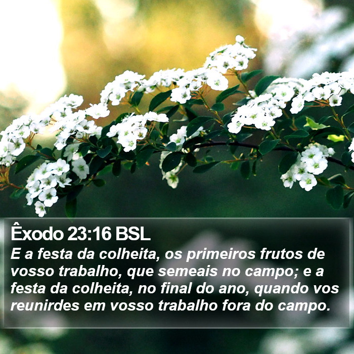 Êxodo 23:16 BSL Bible Study