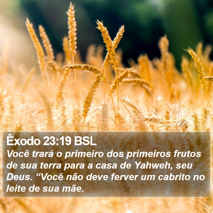 Êxodo 23:19 BSL Bible Study