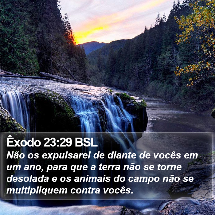 Êxodo 23:29 BSL Bible Study