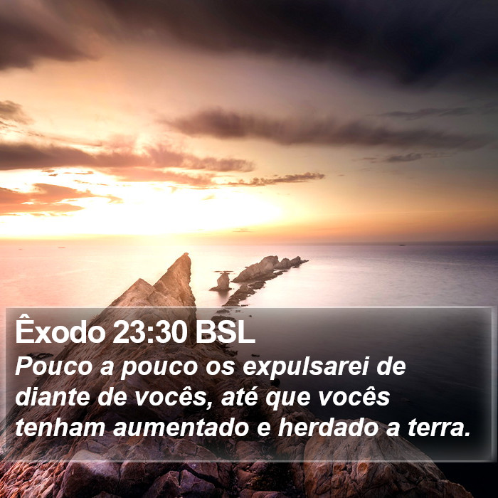 Êxodo 23:30 BSL Bible Study