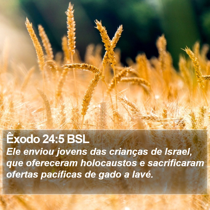 Êxodo 24:5 BSL Bible Study