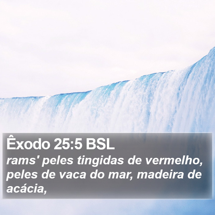 Êxodo 25:5 BSL Bible Study