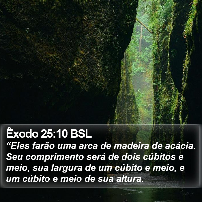 Êxodo 25:10 BSL Bible Study