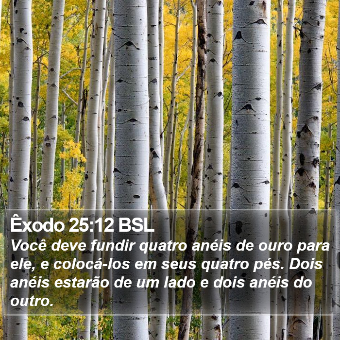 Êxodo 25:12 BSL Bible Study