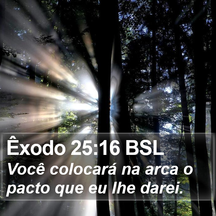 Êxodo 25:16 BSL Bible Study