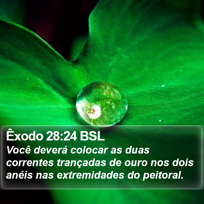 Êxodo 28:24 BSL Bible Study