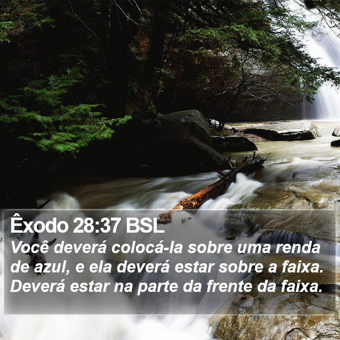 Êxodo 28:37 BSL Bible Study