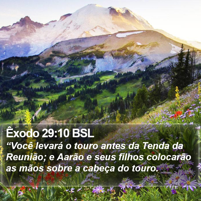 Êxodo 29:10 BSL Bible Study