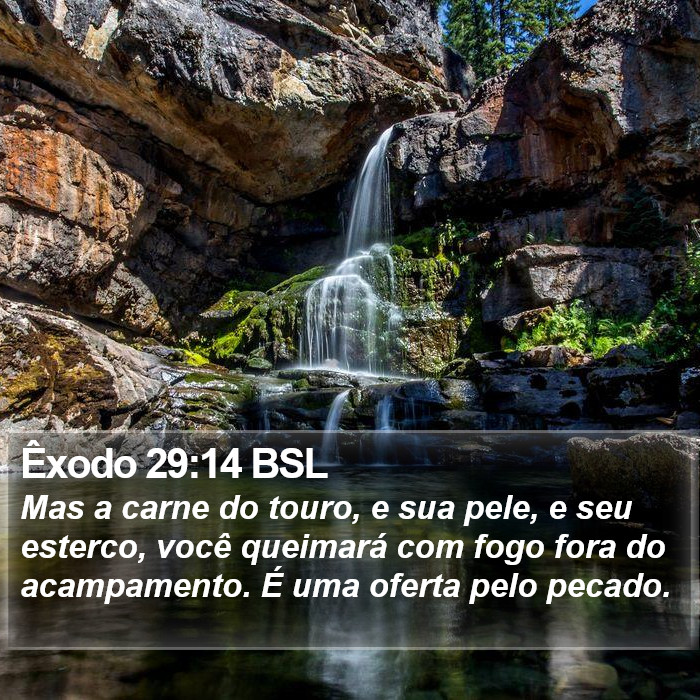 Êxodo 29:14 BSL Bible Study