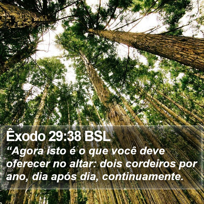 Êxodo 29:38 BSL Bible Study