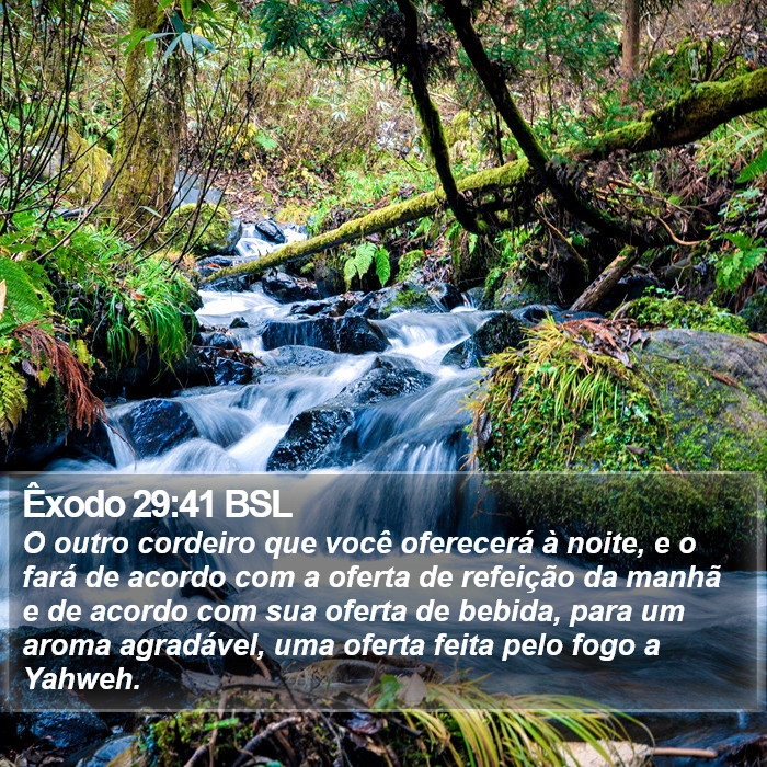 Êxodo 29:41 BSL Bible Study