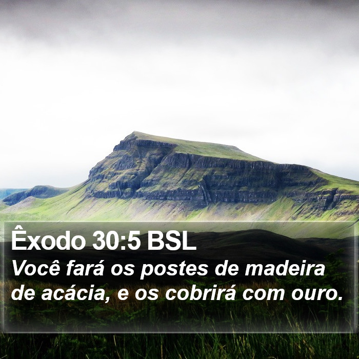 Êxodo 30:5 BSL Bible Study