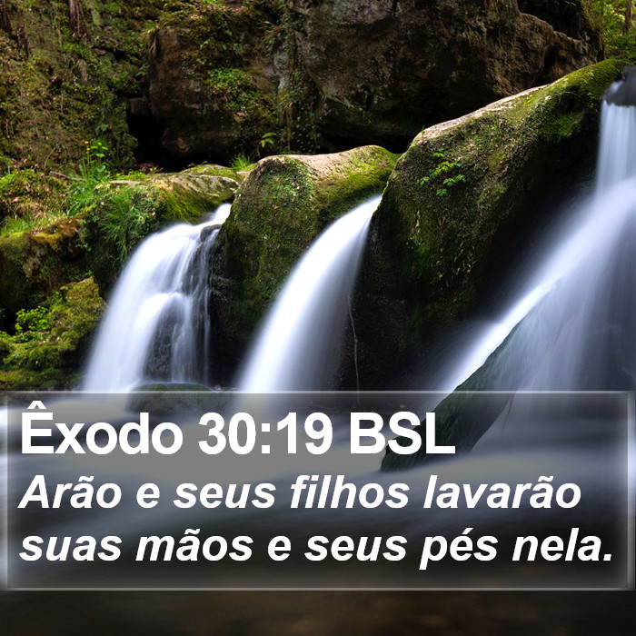 Êxodo 30:19 BSL Bible Study