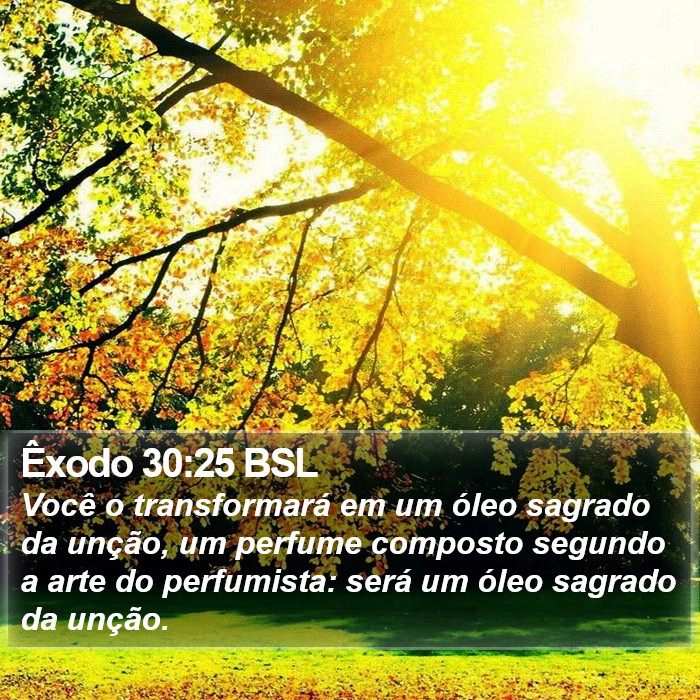 Êxodo 30:25 BSL Bible Study