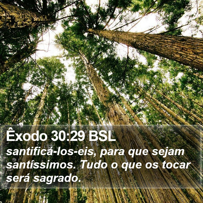 Êxodo 30:29 BSL Bible Study