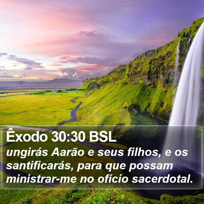 Êxodo 30:30 BSL Bible Study