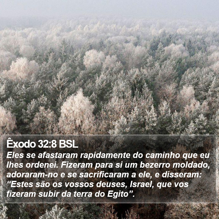 Êxodo 32:8 BSL Bible Study