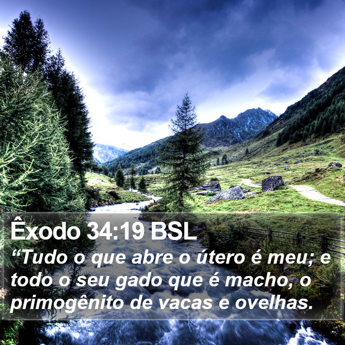 Êxodo 34:19 BSL Bible Study