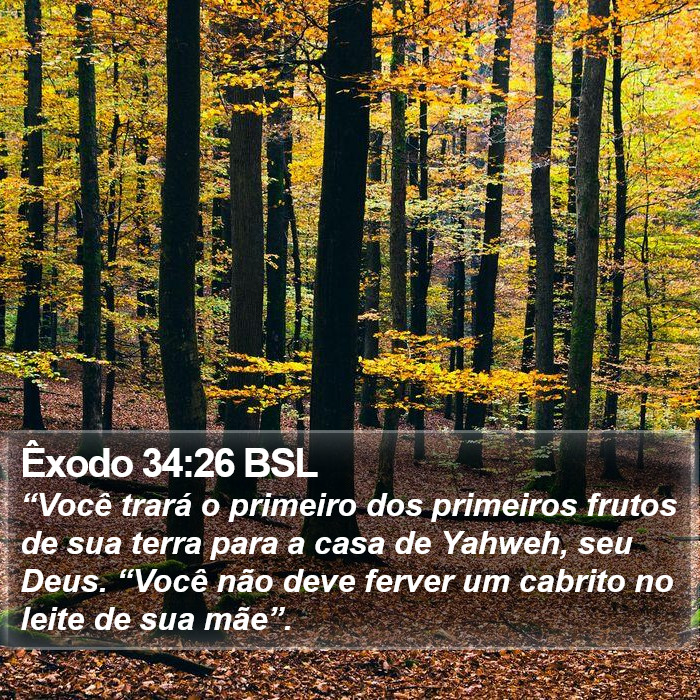 Êxodo 34:26 BSL Bible Study