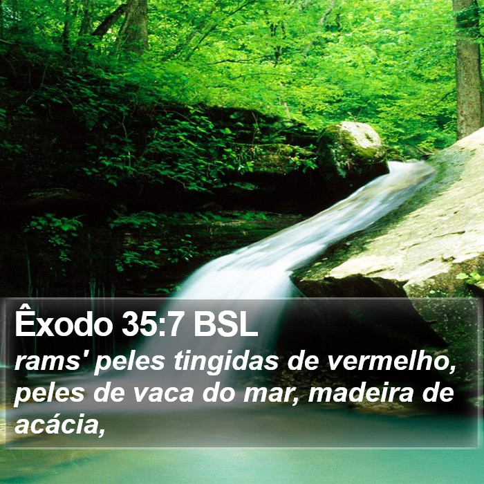 Êxodo 35:7 BSL Bible Study