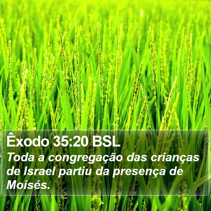 Êxodo 35:20 BSL Bible Study